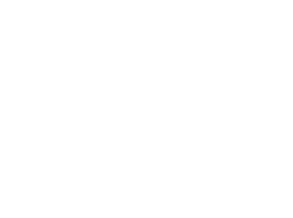 https://techservice.it/wp-content/uploads/2022/11/Arca-EVOLUTION-icon-bianco-da-vettoriale-01.png